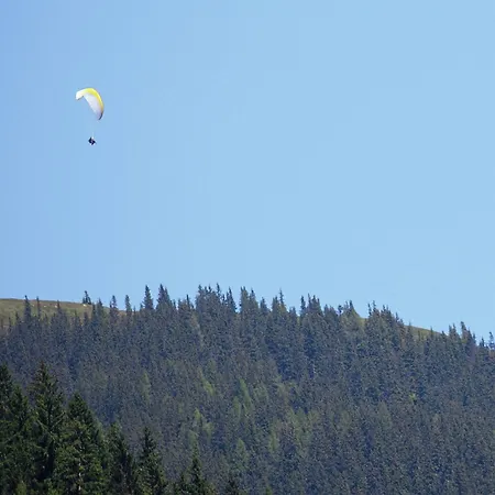 Upscale In Salzburg With Terrace And Country Views Appartement Hollersbach im Pinzgau