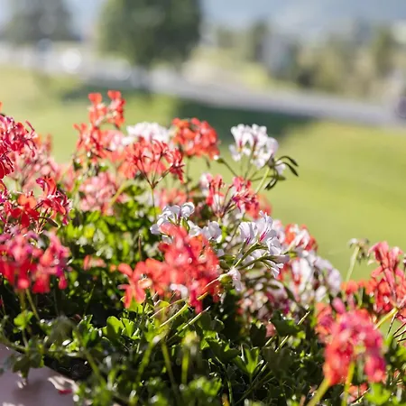 Upscale In Salzburg With Terrace And Country Views Hollersbach im Pinzgau