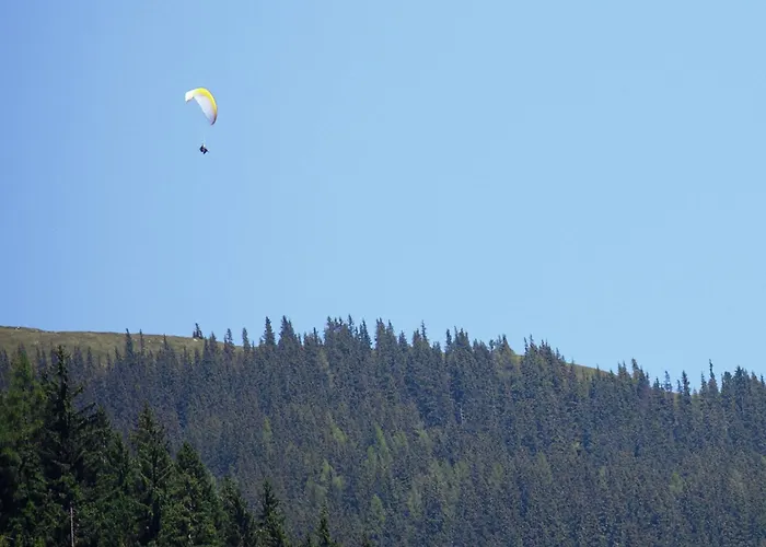 Upscale In Salzburg With Terrace And Country Views Апартаменты Холлерсбах (Пинцгау)