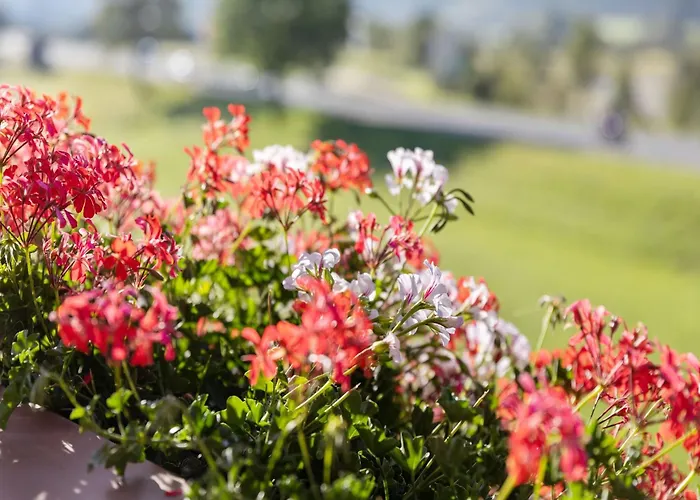 Upscale In Salzburg With Terrace And Country Views Холлерсбах (Пинцгау)